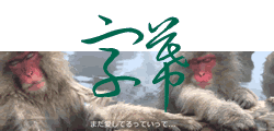 イタリア語翻訳 通訳 Aliseo Japan イタリア語翻訳 通訳 Aliseo Japan